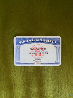 Download USA SSN photolook green textile background FRONT Photoshop template